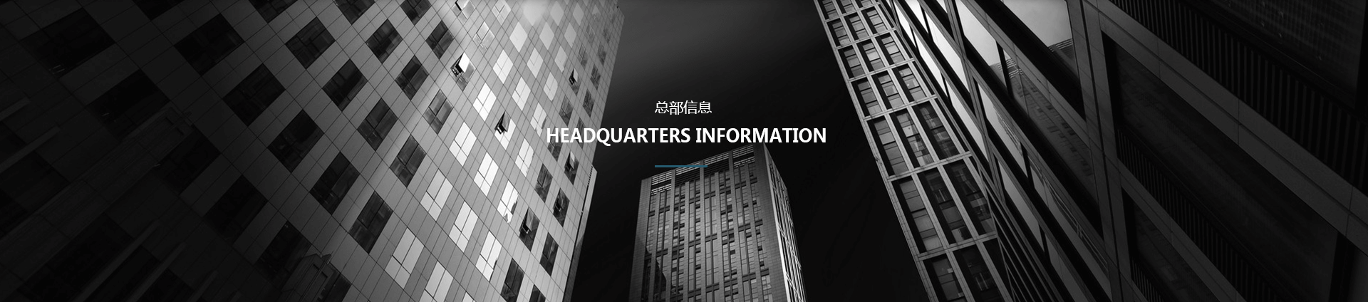 聯系我們